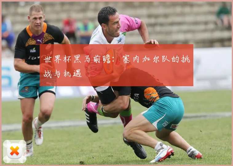 世界杯黑马前瞻：塞内加尔队的挑战与机遇