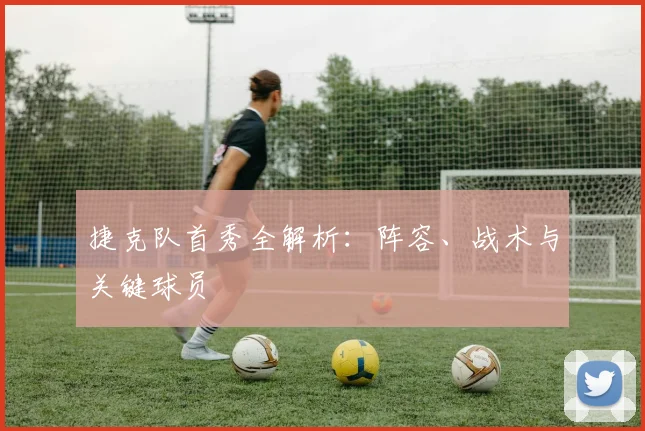 捷克队首秀全解析:阵容、战术与关键球员