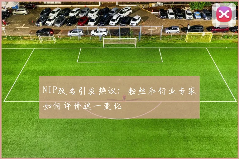 NIP改名引发热议：粉丝和行业专家如何评价这一变化