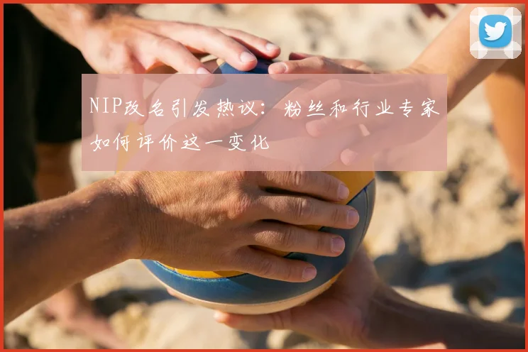 NIP改名引发热议：粉丝和行业专家如何评价这一变化