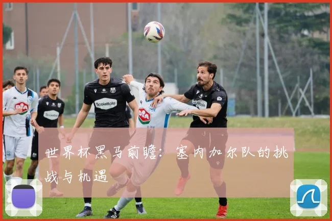 世界杯黑马前瞻：塞内加尔队的挑战与机遇